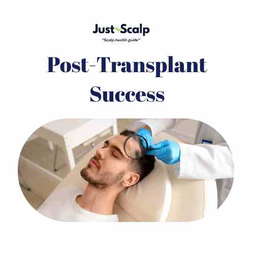post-transplant success, post-hair transplant scalp care image